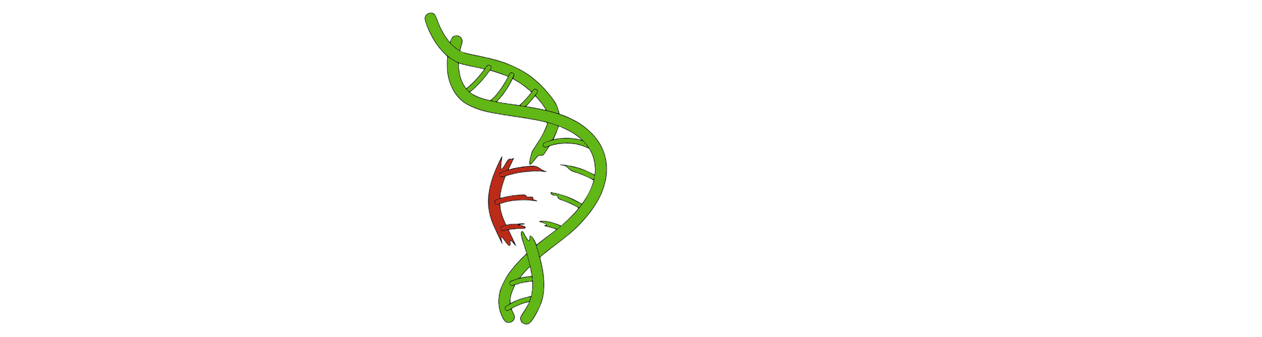 Genmodimals logo